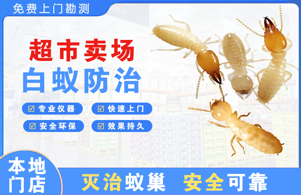 成都超市卖场白蚁防治