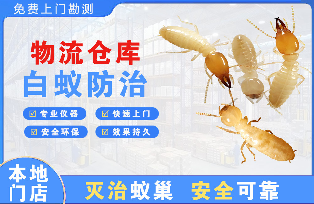 成都物流仓库白蚁防治