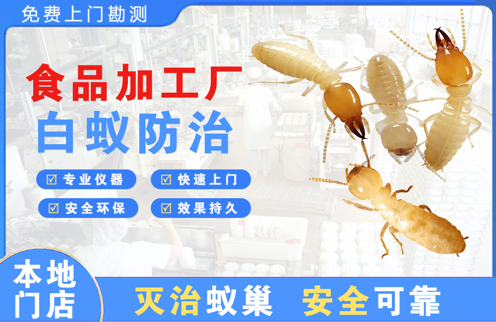 成都食品加工厂白蚁防治