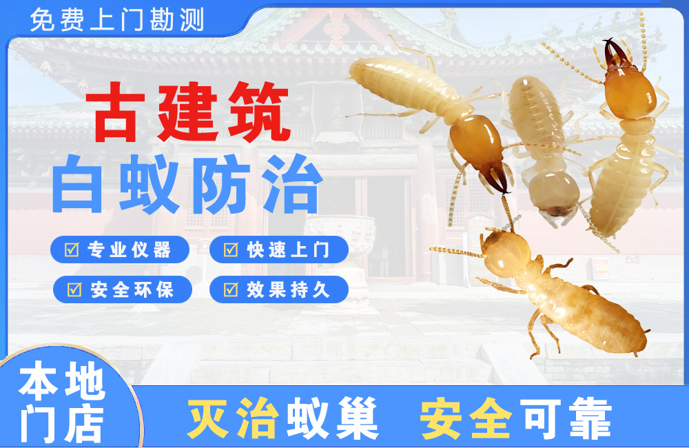 成都古建筑白蚁防治