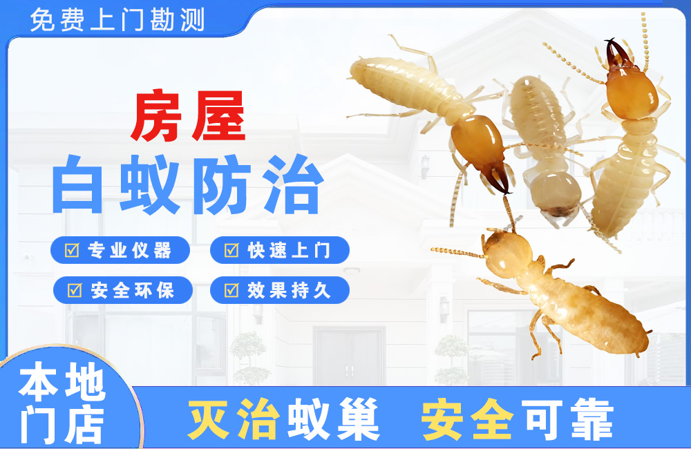 成都房屋白蚁防治