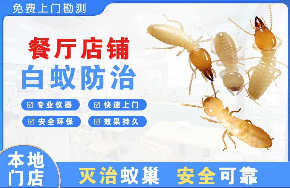 成都餐厅店铺白蚁防治